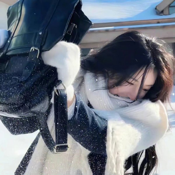 救援狗